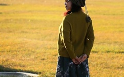 free videoscribe护士